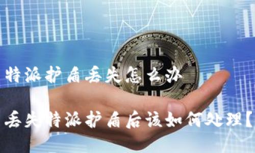 特派护盾丢失怎么办

丢失特派护盾后该如何处理？