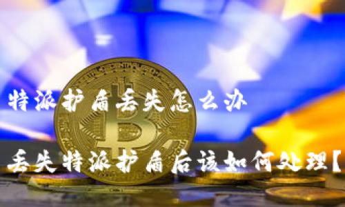 特派护盾丢失怎么办

丢失特派护盾后该如何处理？