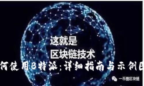 如何使用B特派：详细指南与示例图片