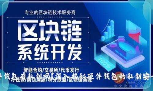 硬件钱包有私钥吗？深入揭秘硬件钱包的私钥安全性