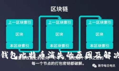 麦子钱包比特币消失的原因及解决方案
