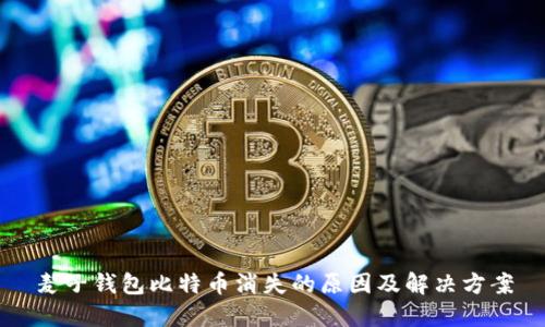 麦子钱包比特币消失的原因及解决方案