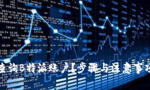 如何查询B特派账户？步骤与注意事项详解
