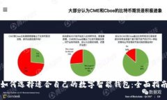 如何选择适合自己的数字智能钱包：全面指南