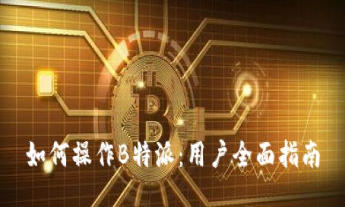 如何操作B特派：用户全面指南