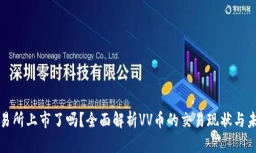 VV币交易所上市了吗？全面解析VV币的交易现状与未来前景