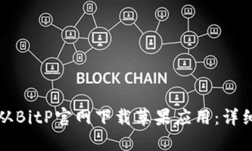 如何从BitP官网下载苹果应用：详细指南