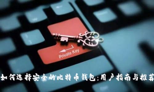 如何选择安全的比特币钱包：用户指南与推荐