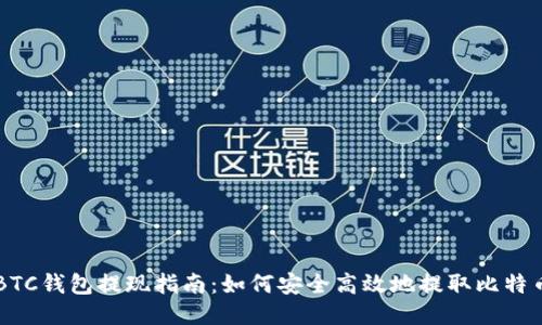 BTC钱包提现指南：如何安全高效地提取比特币