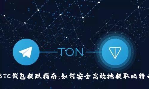 BTC钱包提现指南：如何安全高效地提取比特币