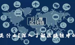钱包节点是什么？深入了解区块链中的钱包节点