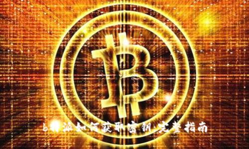 b特派如何获取密钥：完整指南