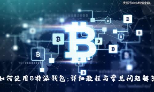 如何使用B特派钱包：详细教程与常见问题解答