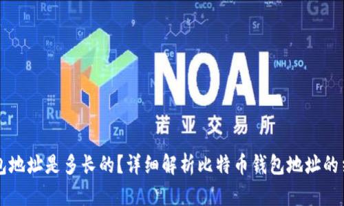 比特币钱包地址是多长的？详细解析比特币钱包地址的结构与格式