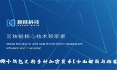 哪个钱包支持多种加密货币？全面解析与推荐