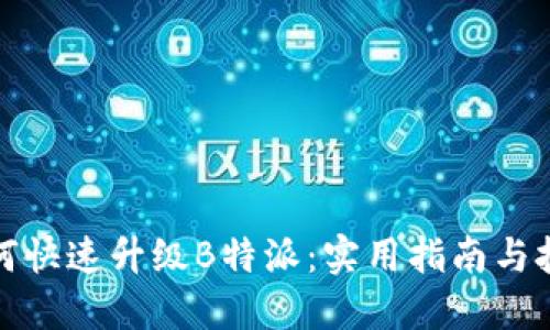 如何快速升级B特派：实用指南与技巧