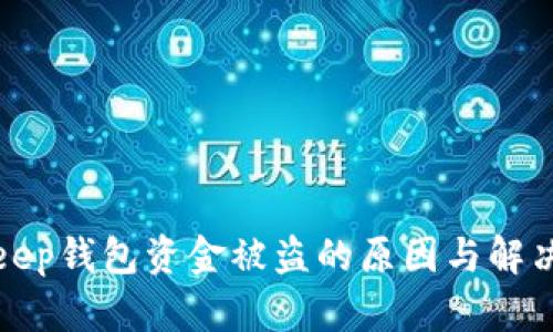 Bitkeep钱包资金被盗的原因与解决方案