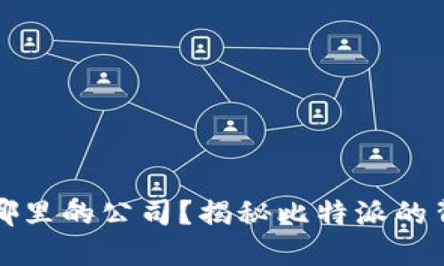 比特派是哪里的公司？揭秘比特派的背景与发展