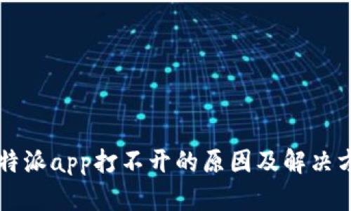 比特派app打不开的原因及解决方法