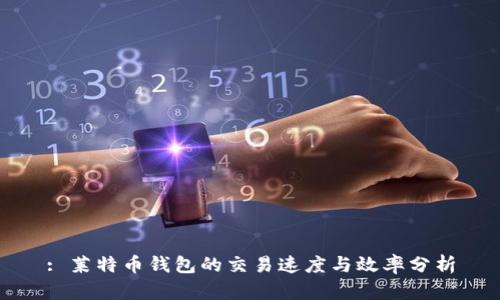 : 莱特币钱包的交易速度与效率分析