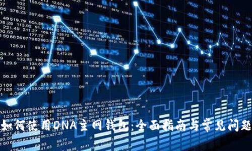 如何使用DNA主网钱包：全面指南与常见问题