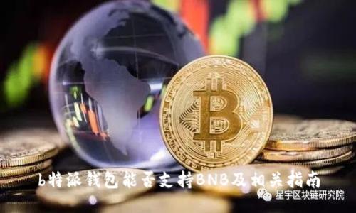 b特派钱包能否支持BNB及相关指南