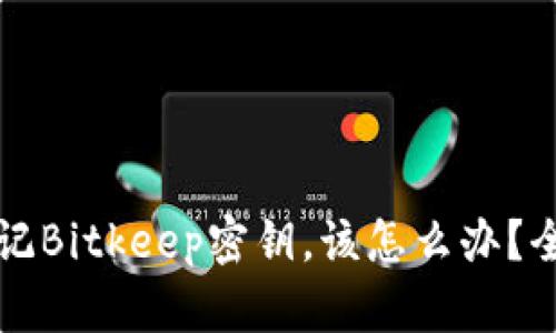 如果忘记Bitkeep密钥，该怎么办？全面指南