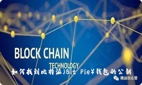如何找到比特派（Bit Pie）钱包的公钥