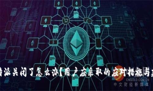 比特派关闭了怎么办？用户应采取的应对措施与建议