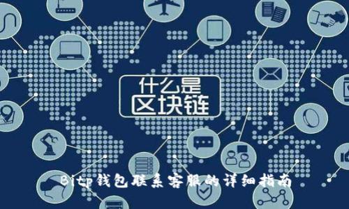 Bitp钱包联系客服的详细指南