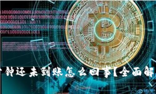 比特派三十分钟还未到账怎么回事？全面解析及解决方案