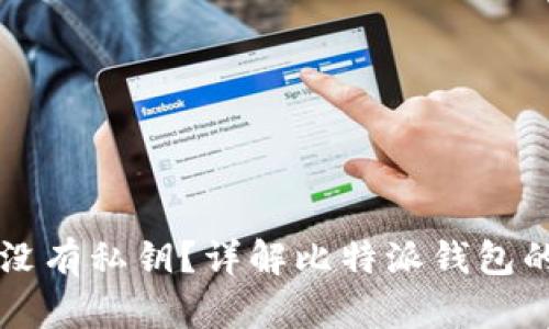 为什么比特派钱包没有私钥？详解比特派钱包的安全性与使用特点