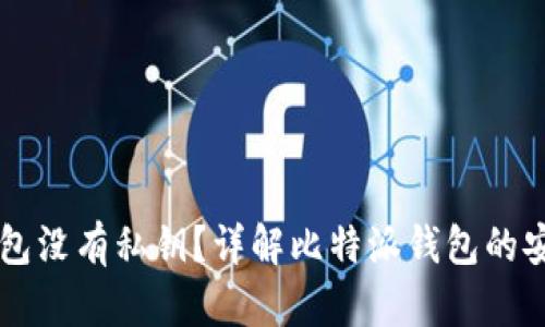 为什么比特派钱包没有私钥？详解比特派钱包的安全性与使用特点