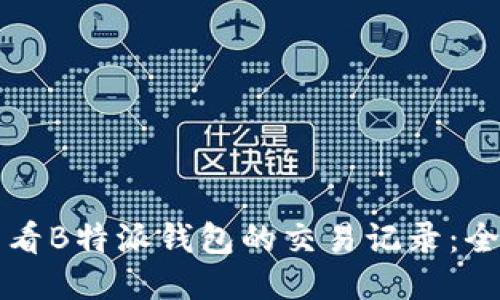 如何查看B特派钱包的交易记录：全面指南