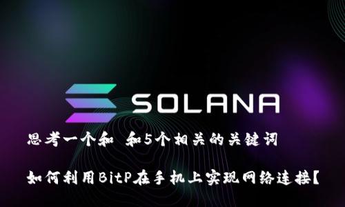 思考一个和 和5个相关的关键词

如何利用BitP在手机上实现网络连接？