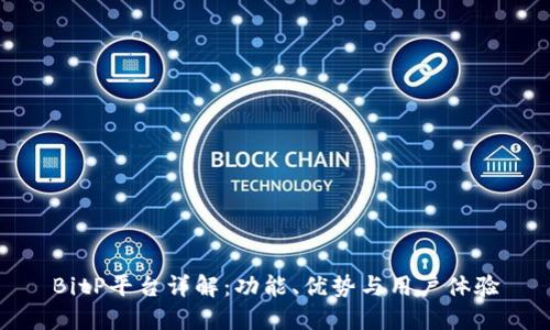 BitP平台详解：功能、优势与用户体验
