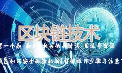 思考一个和 和5个相关的关键词 用逗号分隔

bk钱包如何安全删除私钥？详解操作步骤与注意事项