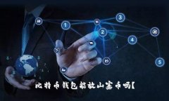 比特币钱包能放山寨币吗？
