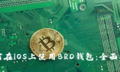 如何在iOS上使用BRD钱包：全面指南