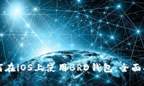如何在iOS上使用BRD钱包：全面指南