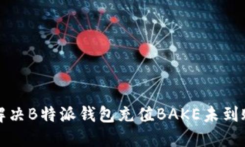 如何解决B特派钱包充值BAKE未到账问题