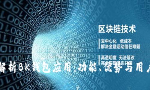 全面解析BK钱包应用：功能、优势与用户指南