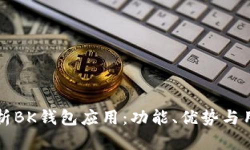 全面解析BK钱包应用：功能、优势与用户指南