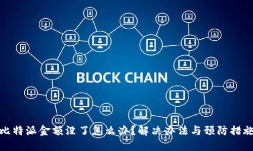 比特派金额没了怎么办？解决办法与预防措施