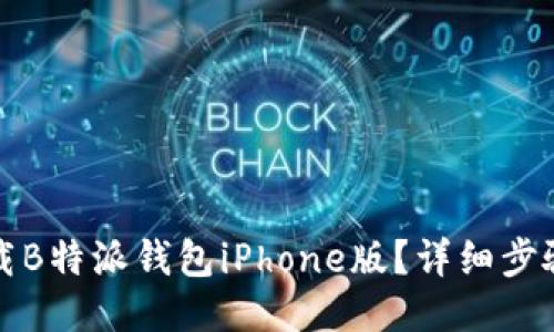 如何下载B特派钱包iPhone版？详细步骤与技巧
