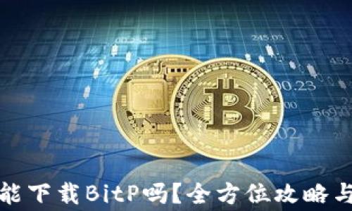 
安卓手机能下载BitP吗？全方位攻略与注意事项