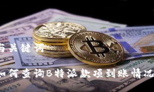 与关键词

如何查询B特派款项到账情况？