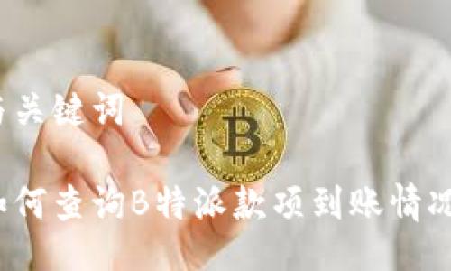 与关键词

如何查询B特派款项到账情况？