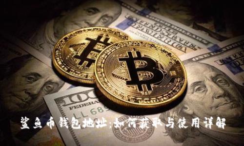 鲨鱼币钱包地址：如何获取与使用详解