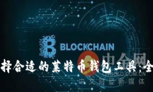 如何选择合适的莱特币钱包工具：全面指南